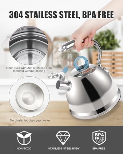 Harriet Whistling Tea Kettle 25 Quart Stainless Steel with Dolphin Handle