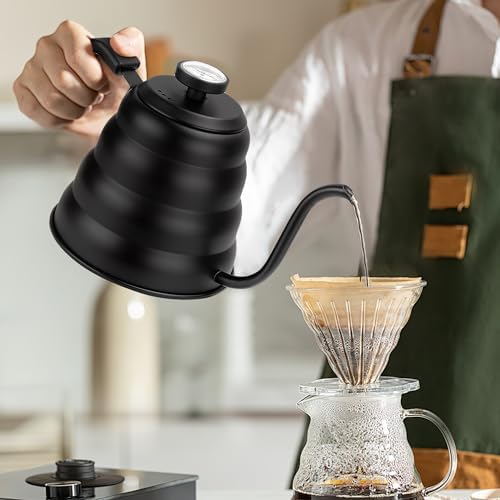 Apusu 40oz Gooseneck Tea Kettle with Thermometer