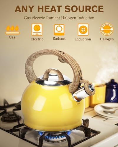 Hauce Radio 21 Quart Stovetop Tea Kettle with Whistle