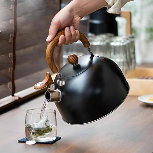 Drieamboat 3 Quart Whistling Tea Kettle with Folding Handle