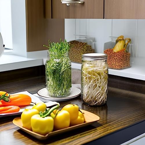 Lulonpon 2pcs Sprouts Growing Jar Kit 86mm 1000ml