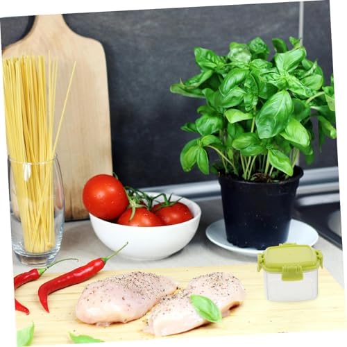 12pcs Mini Condiment Squeeze Bottles Set for Ketchup Salad Dressing and Seasonings