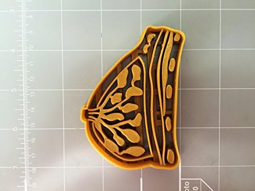 Arbi Design Breast Anatomy Cookie Cutter