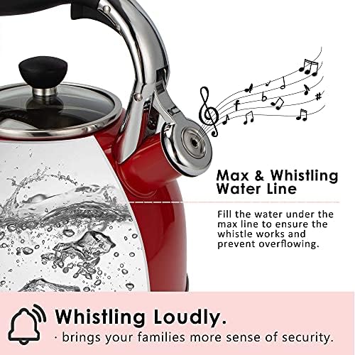 Rorence 25 Qt Tea Kettle with Glass Lid and Whistle
