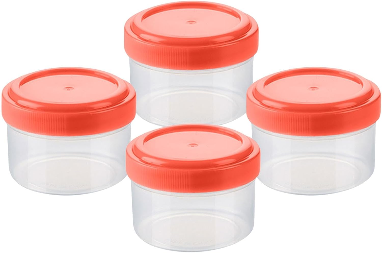 Portable Clear Seasoning Bottles Set with Leakproof Lids
