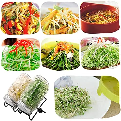 Lulonpon 2pcs Sprouts Growing Jar Kit 86mm 1000ml