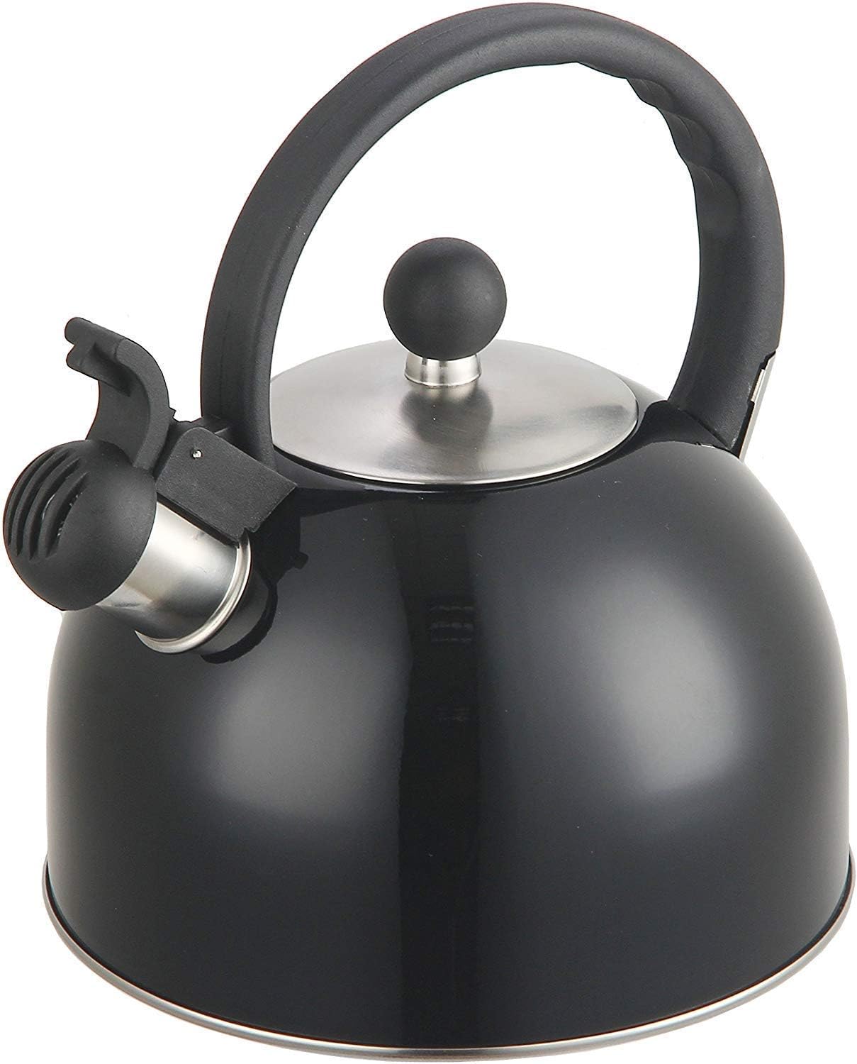 DFL 2 Liter Stainless Steel Whistling Tea Kettle - 2L Black