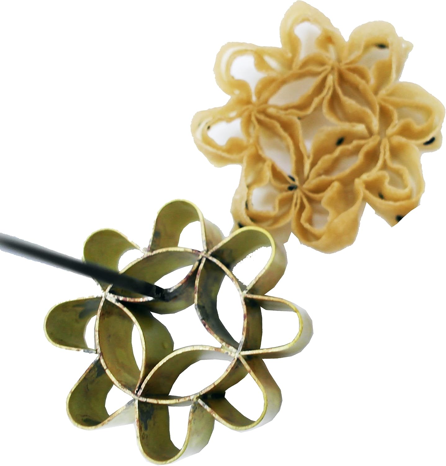 IAMSIAMZ DOK JOK Cookie Bouquet Mold 25 Inch Brass