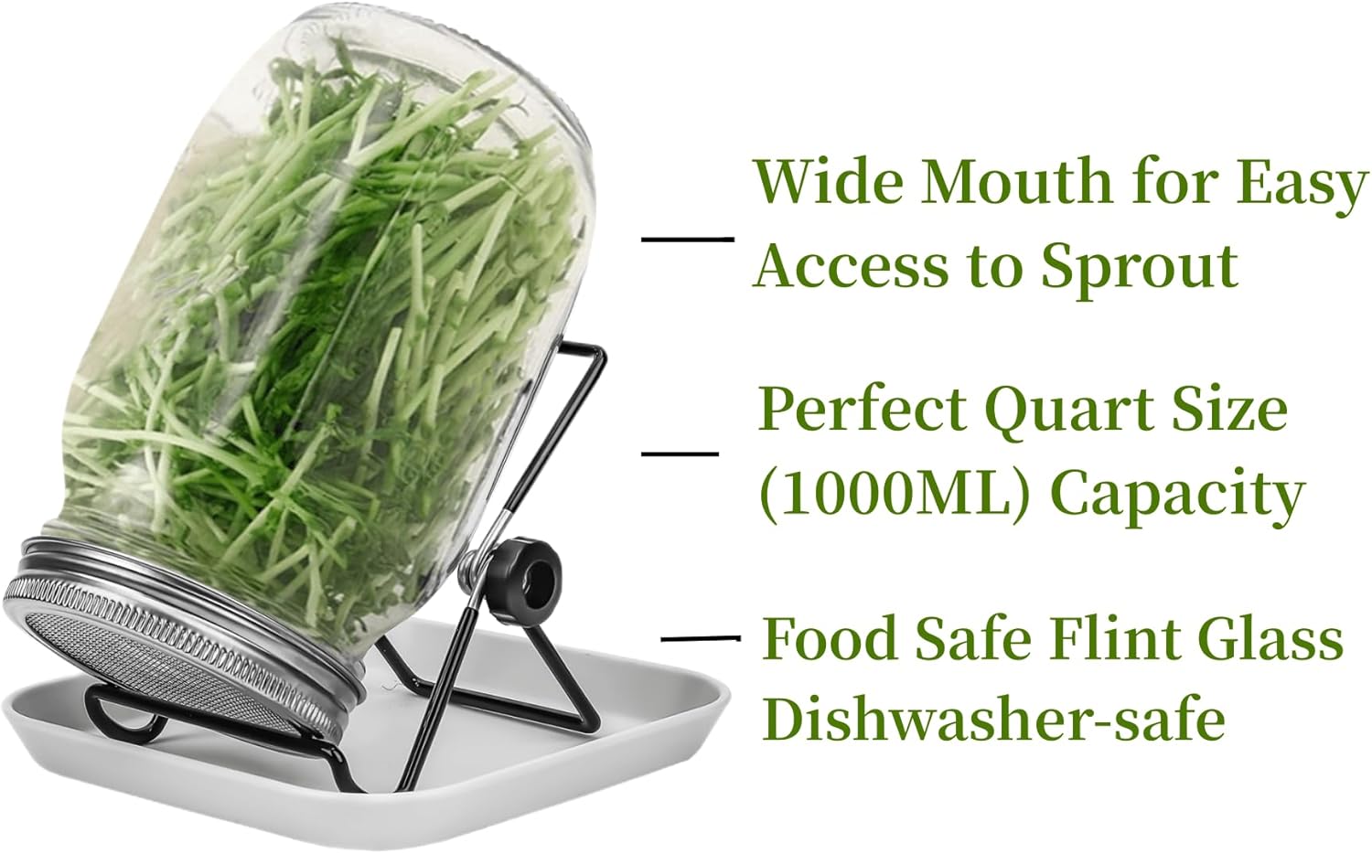 Lulonpon 2pcs Sprouts Growing Jar Kit 86mm 1000ml