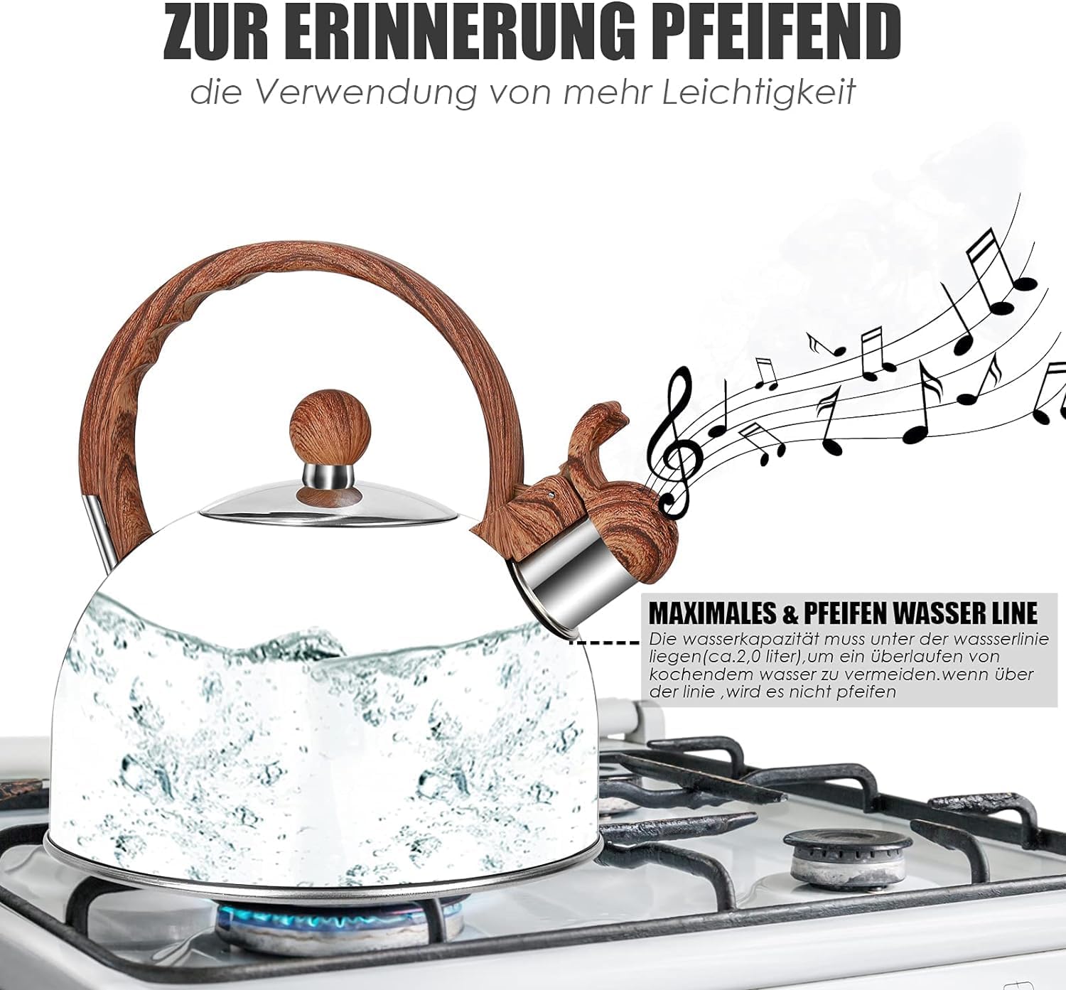 Sorfity Whistling Tea Kettle 25L with Wood Handle Black