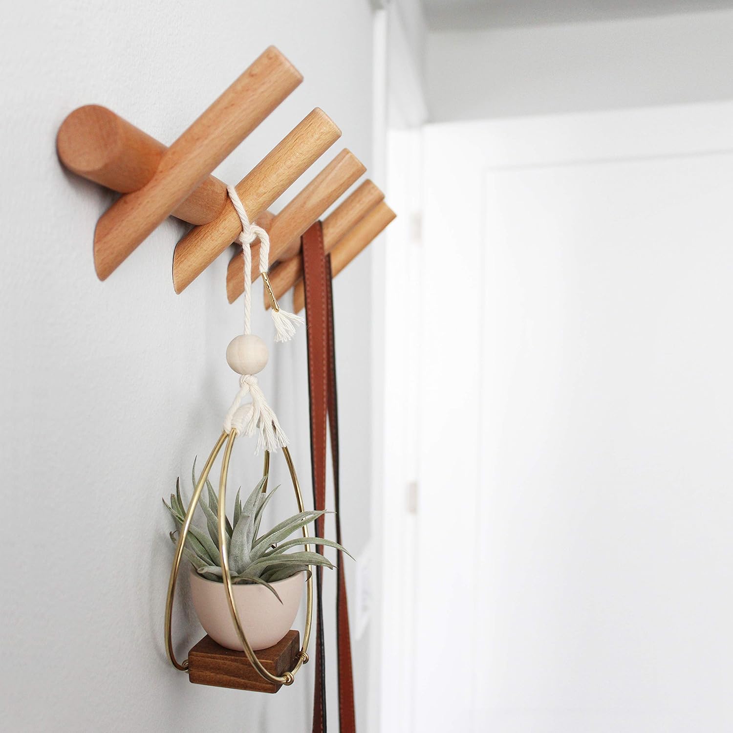Eden Co Modern Wall Mounted Coat and Hat Rack