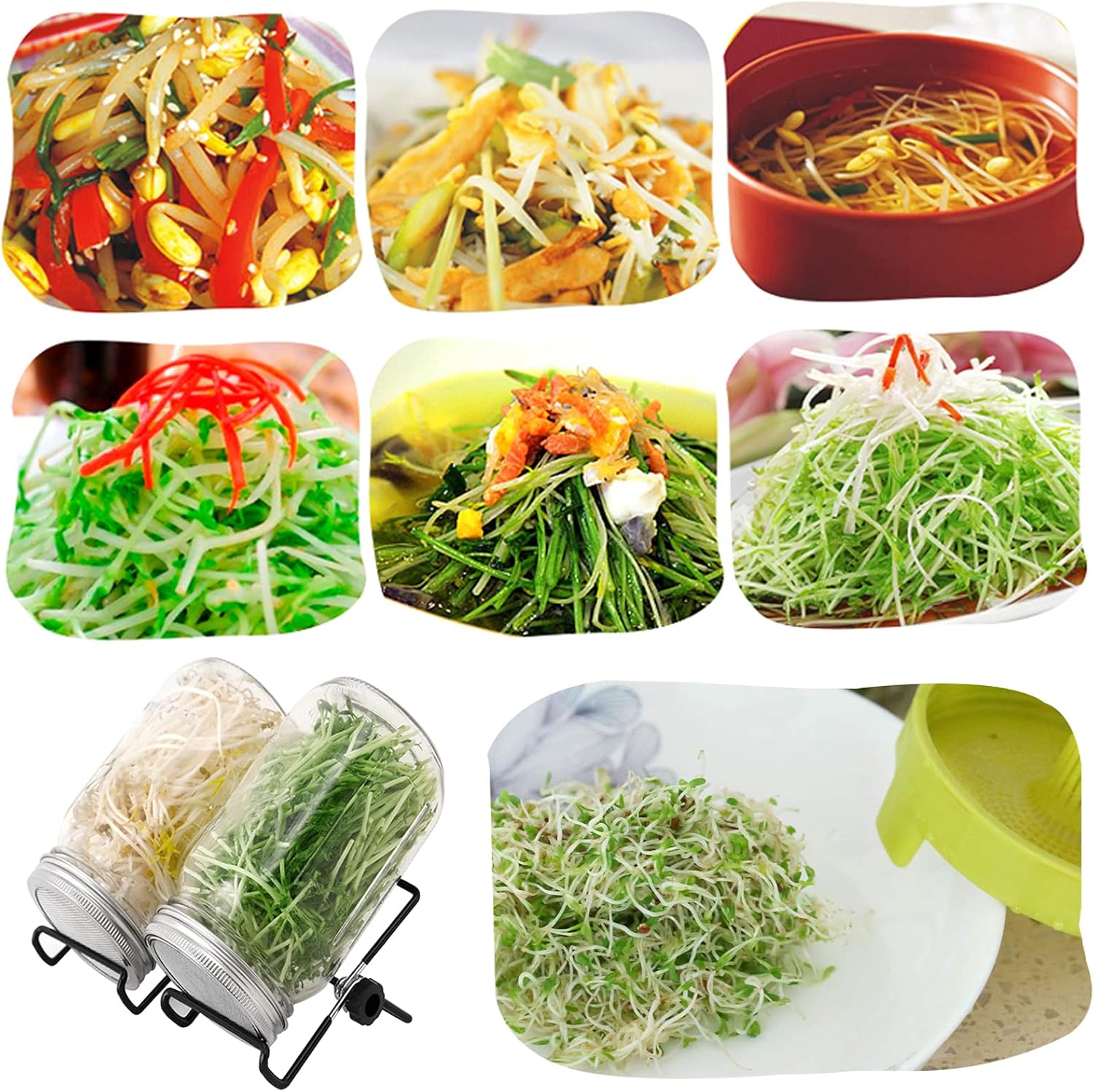 Lulonpon 2pcs Sprouts Growing Jar Kit 86mm 1000ml